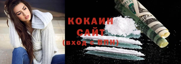 шишки Дмитров