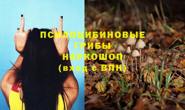 марки nbome Дмитриев