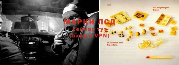 молекула духа Елабуга