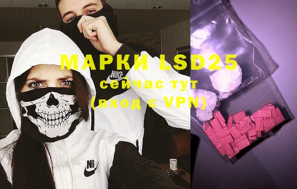 прущие крисы Ельня