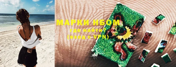 молекула духа Елабуга
