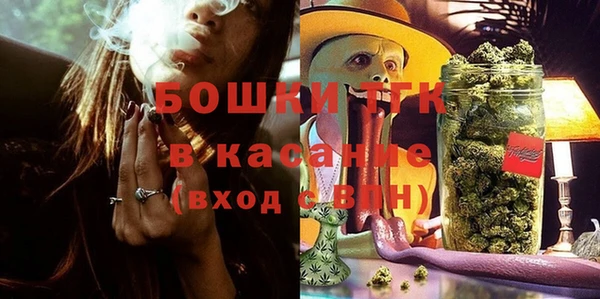 прущие крисы Ельня