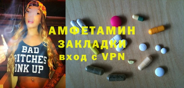 шишки Дмитров