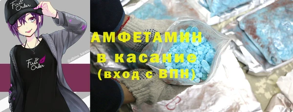 шишки Дмитров